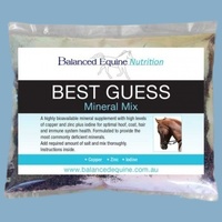 Best Guess Mineral Mix - Balanced Equine 