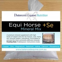 Equi Horse +SE Mineral Mix 