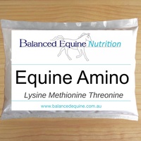 Equine Amino by Balanced Equine - Carol Layton