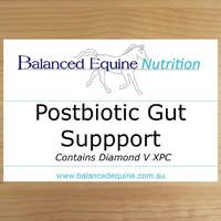 Postbiotic Gut Support - 2kg