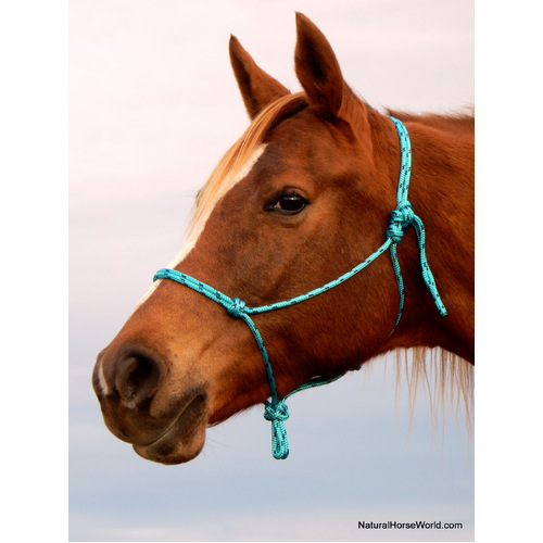 Rope Halter Natural Horsemanship Premium Quality 