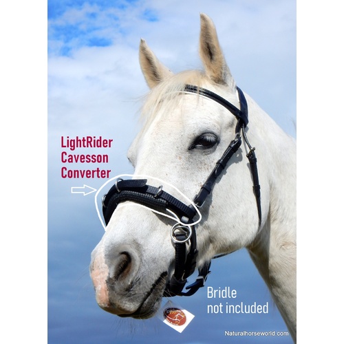 LightRider Cavesson Converter
